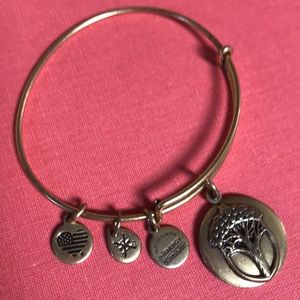 Alex & Ani “Unexpected Miracles” bracelet